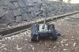 Search and Rescue Robot